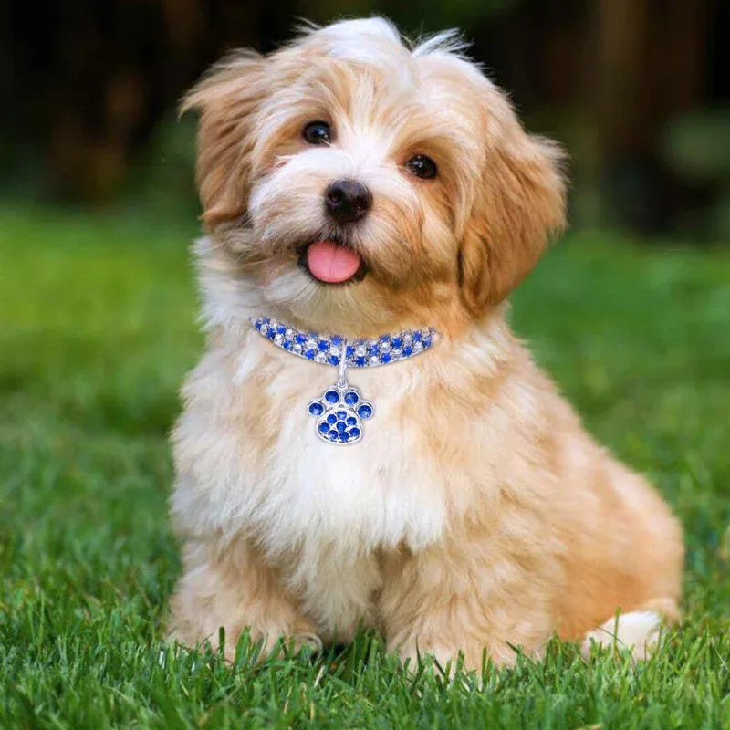 Pet Collar Necklace Jewelry With Diamonds For Cats And Dogs