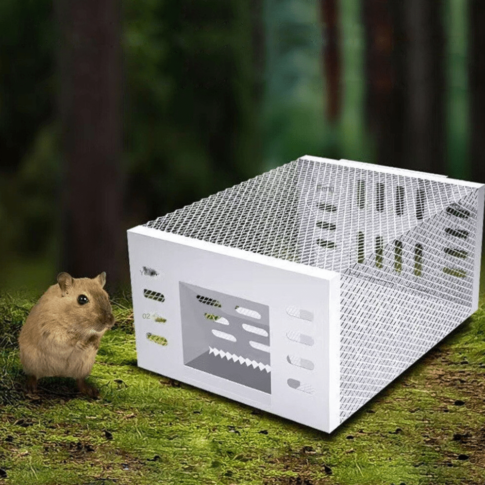 Djurvänlig musfälla - effektiv och human skadedjursbekämpning