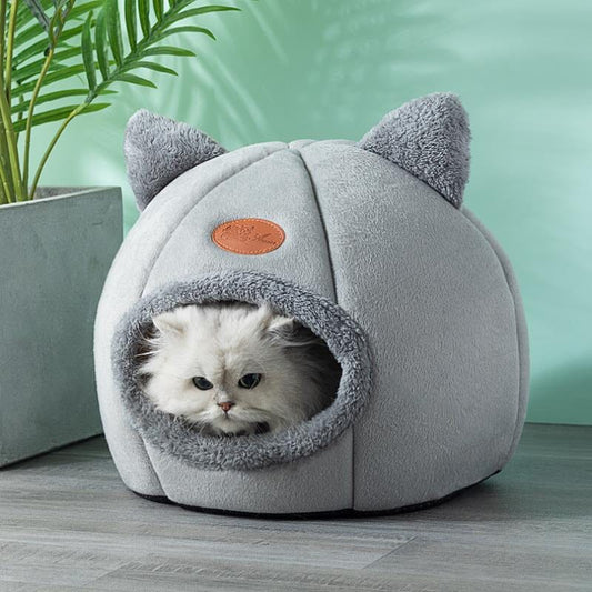 Kattigloo
