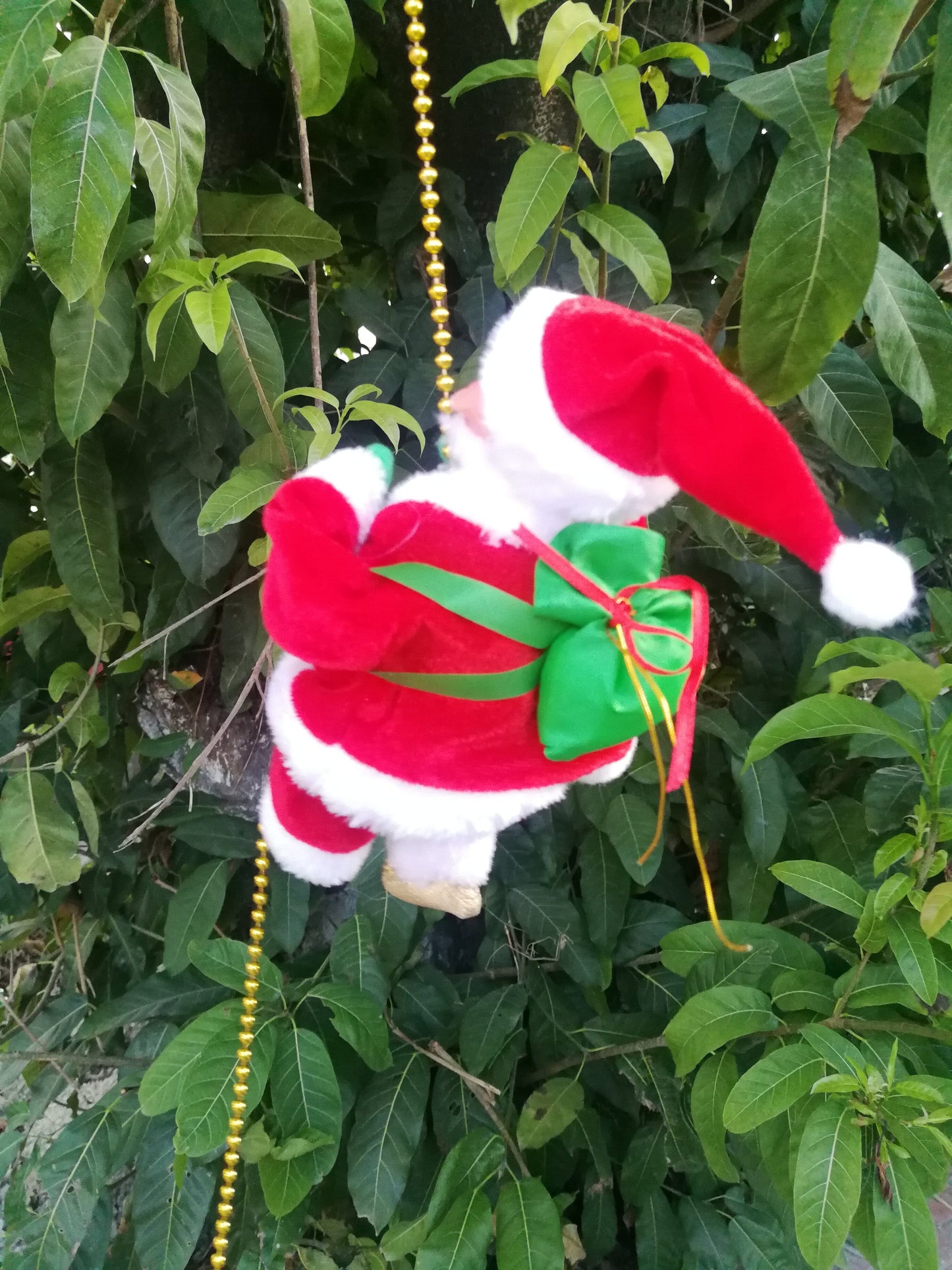 KlÀttrande tomte
