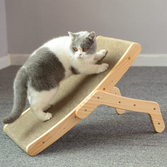 Klösbädden - Den Perfekta Kombinationen av Klösplats och Kattbädd