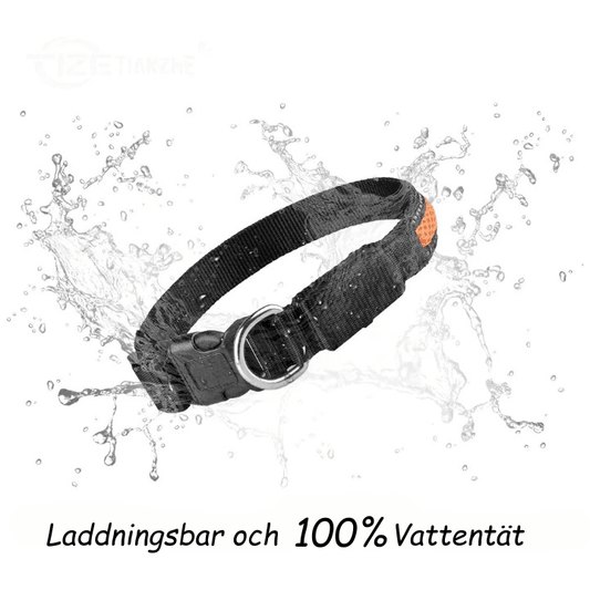 LED Säkerhetshalsband Hund – Synlig i Mörker & Regn