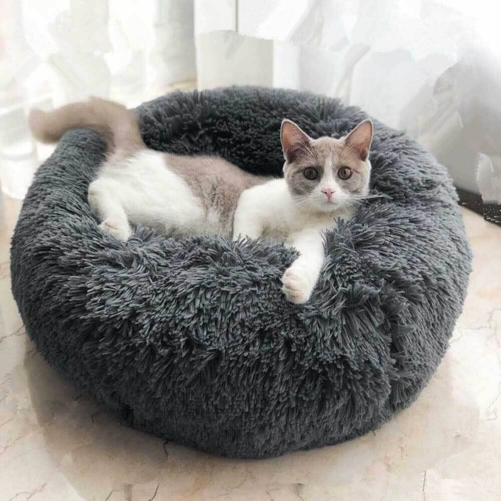 Lugnande kattsäng