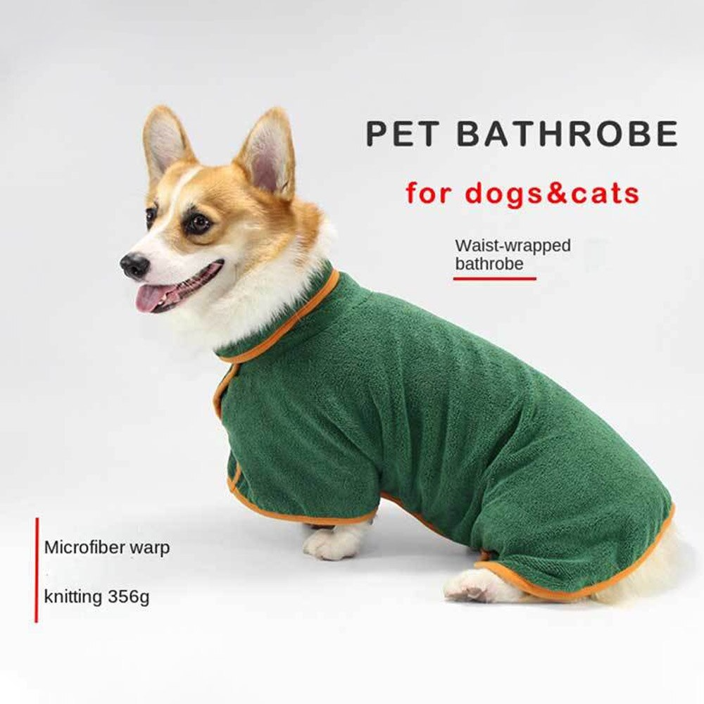 Winter fashion essentials for adventurous pets