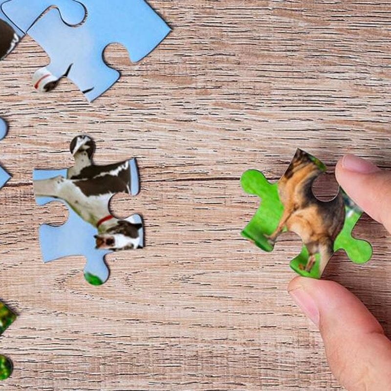 101 bajsande valpar pussel (1000 bitar)