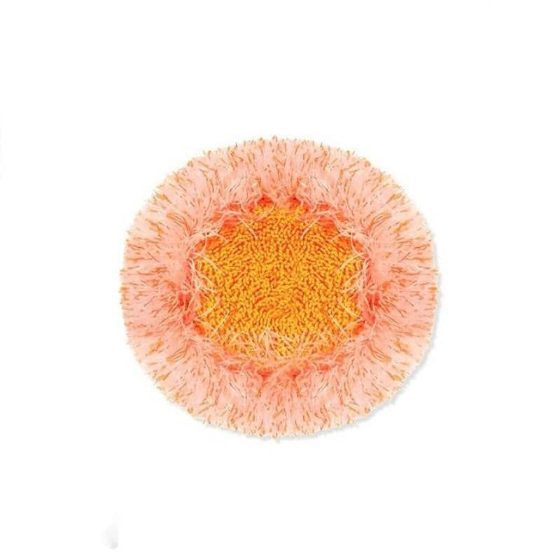 360° roterande justerbar rengöringsmopp