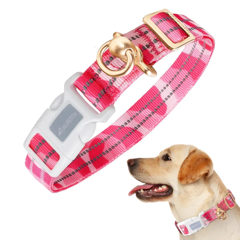 Silicone Case Nylon Anti-Lost Dog Collar