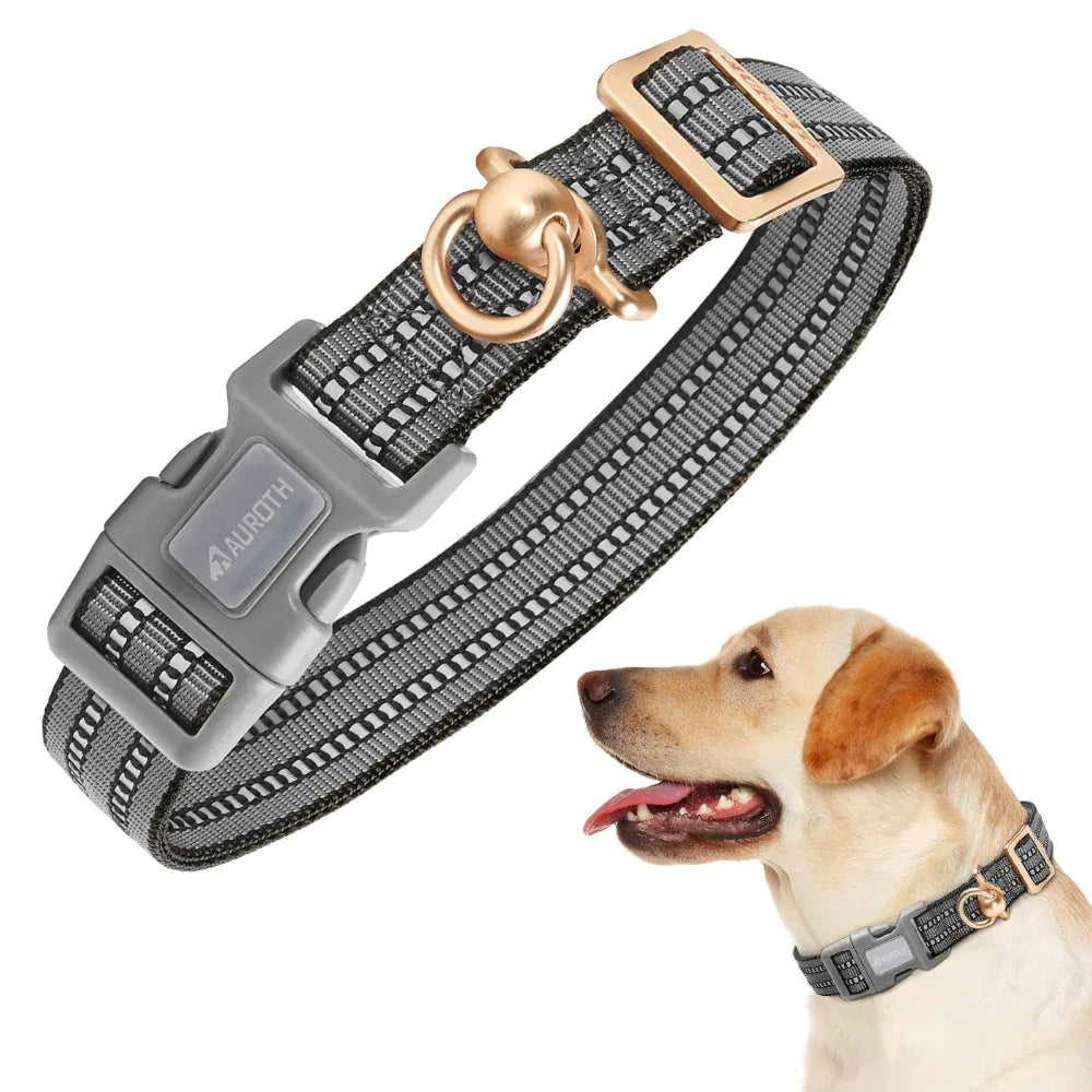 Silicone Case Nylon Anti-Lost Dog Collar