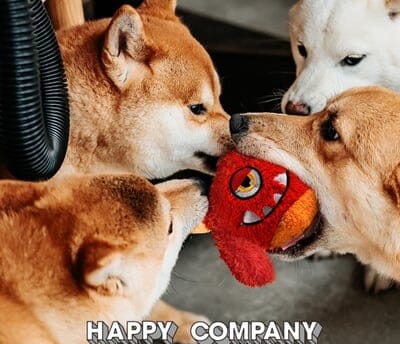 Bouncer – Interaktiv Hoppande Boll för Hundar