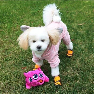 Bouncer – Interaktiv Hoppande Boll för Hundar