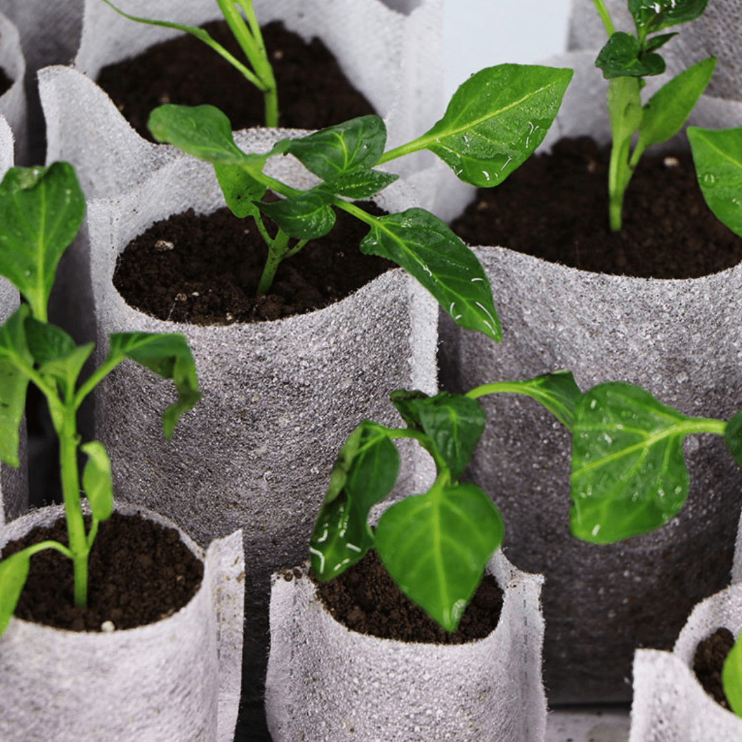 Fiberduk Plant-påsar