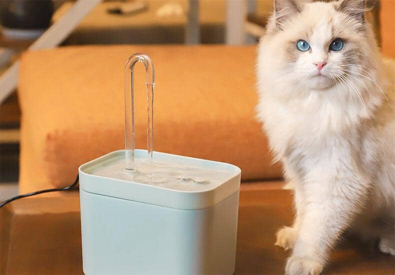 Vattenfontän för katt 1,5 L – Tyst, Filtrerad och Lätt att Rengöra