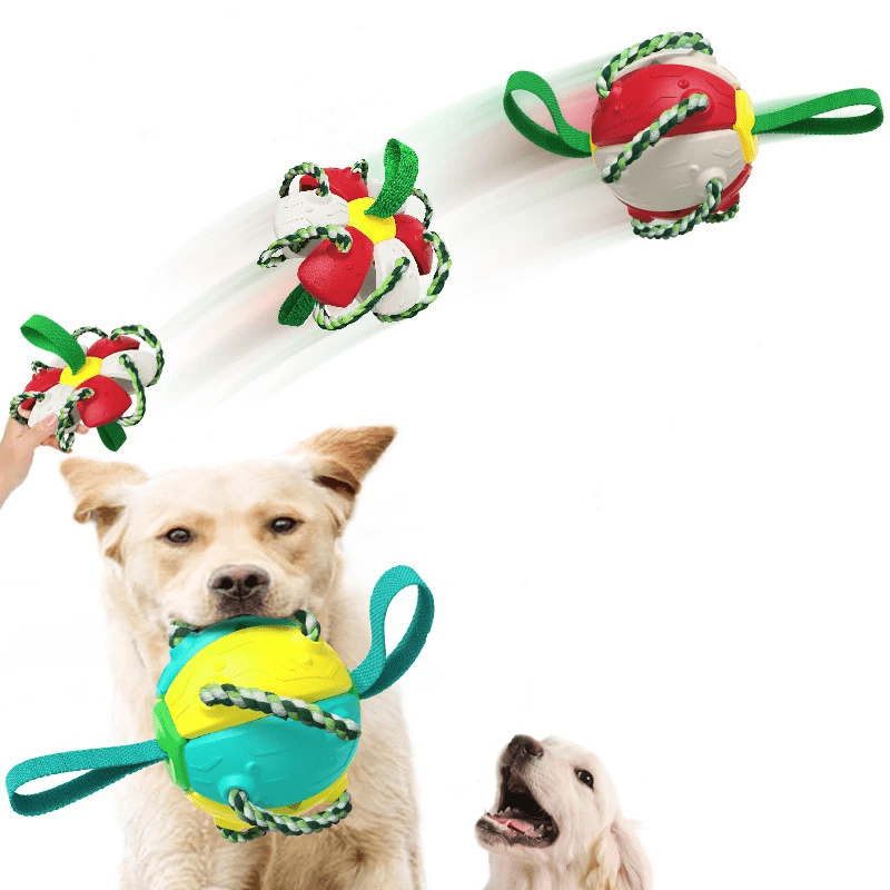 Frisbeeboll - Hundleksak