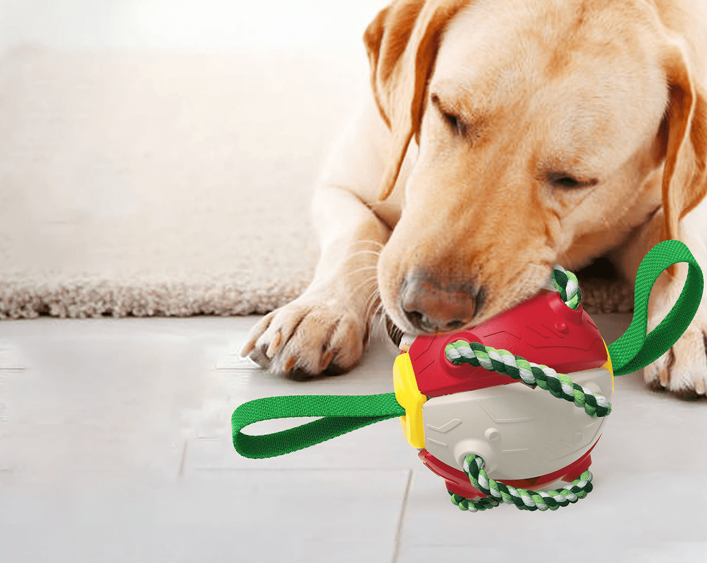 Frisbeeboll - Hundleksak