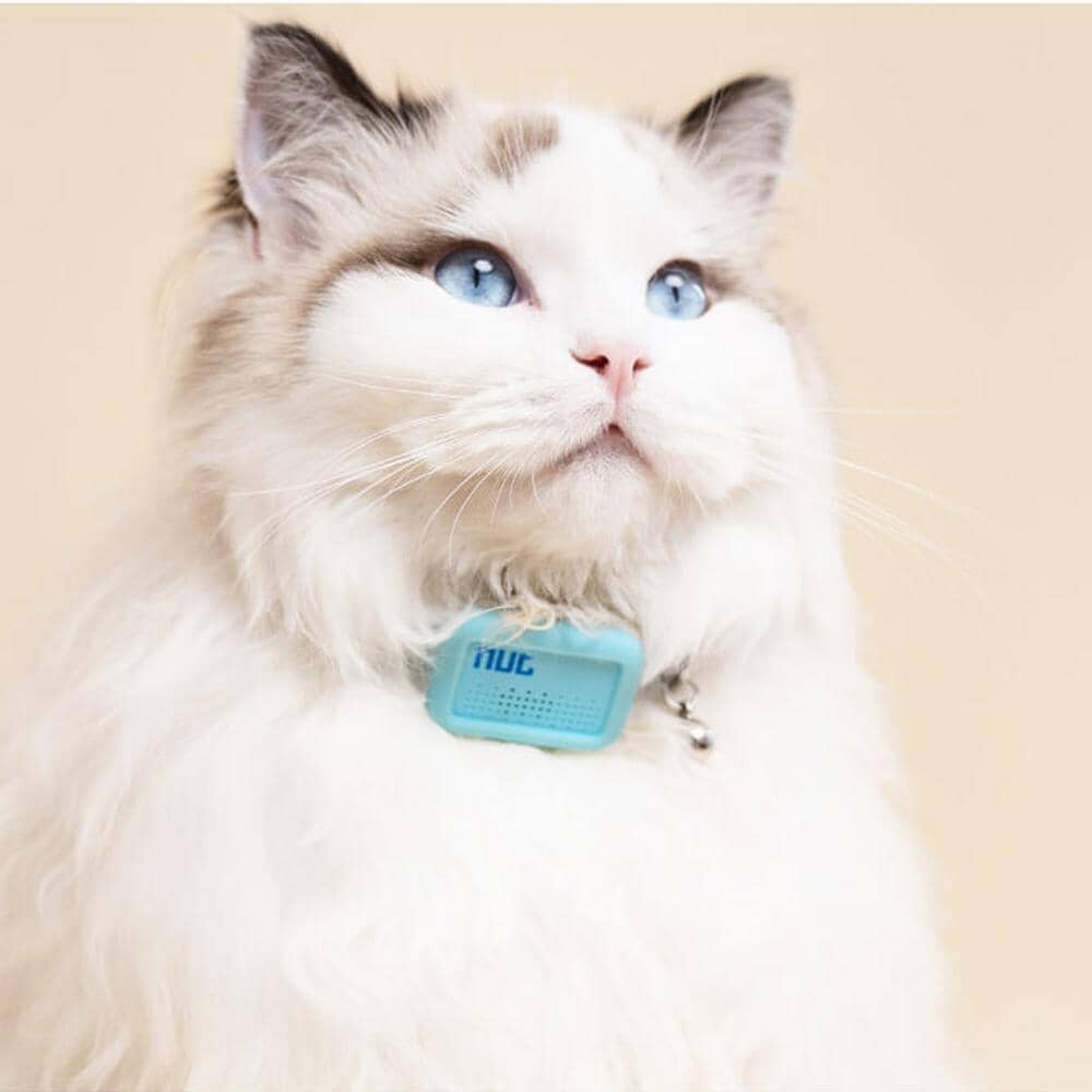 Halsband med inbyggd GPS spårning för husdjur