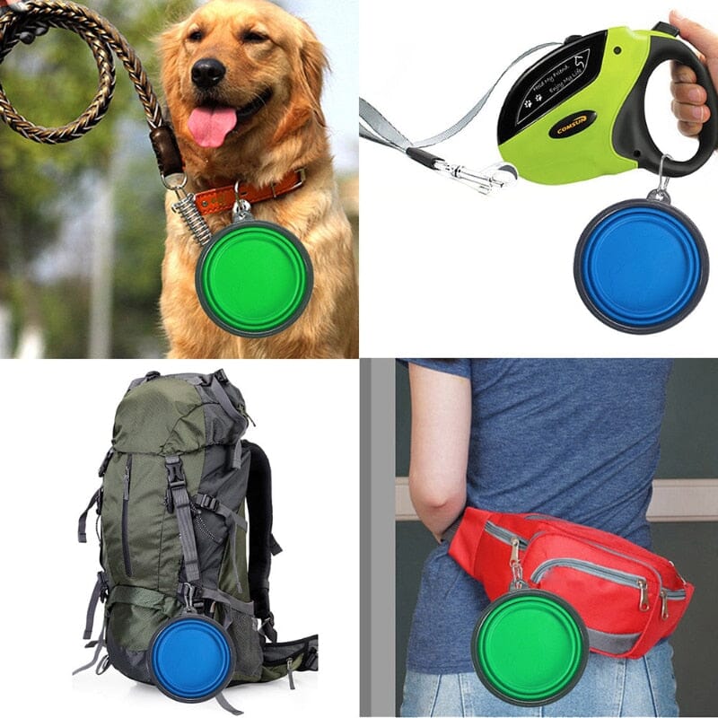 Hopfällbar hundskål