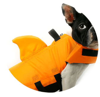 Hundflytväst med Hajfena