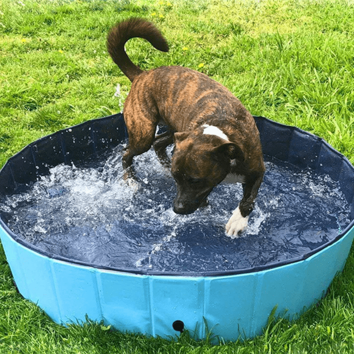 Hundpoolen Vikbar Pop-up pool