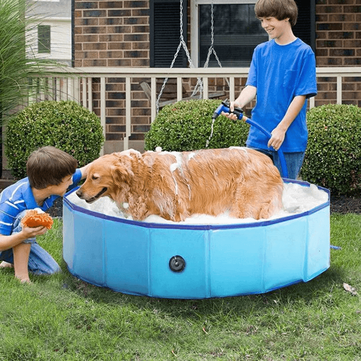 Hundpoolen Vikbar Pop-up pool