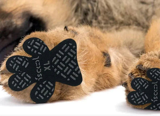 Hundtass-skydd - För hunden som inte gillar hundskor