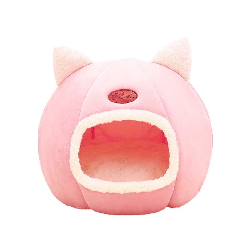 Kattigloo