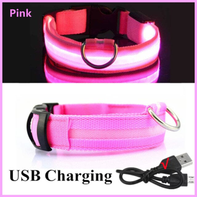 LED Hundhalsband