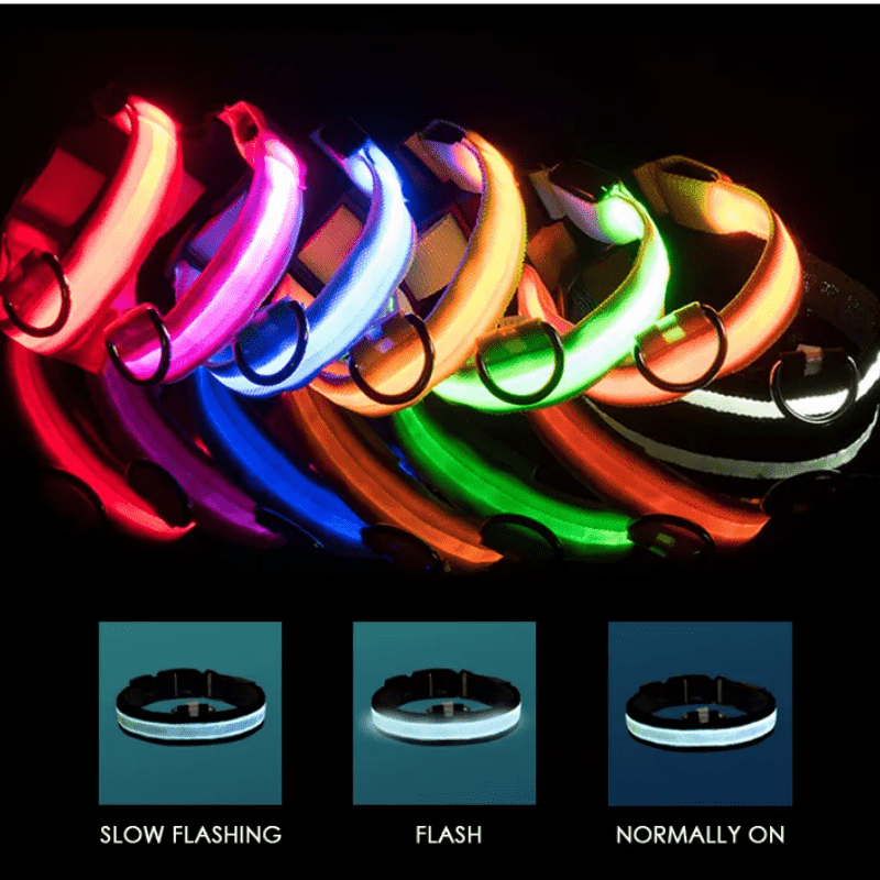 LED Hundhalsband