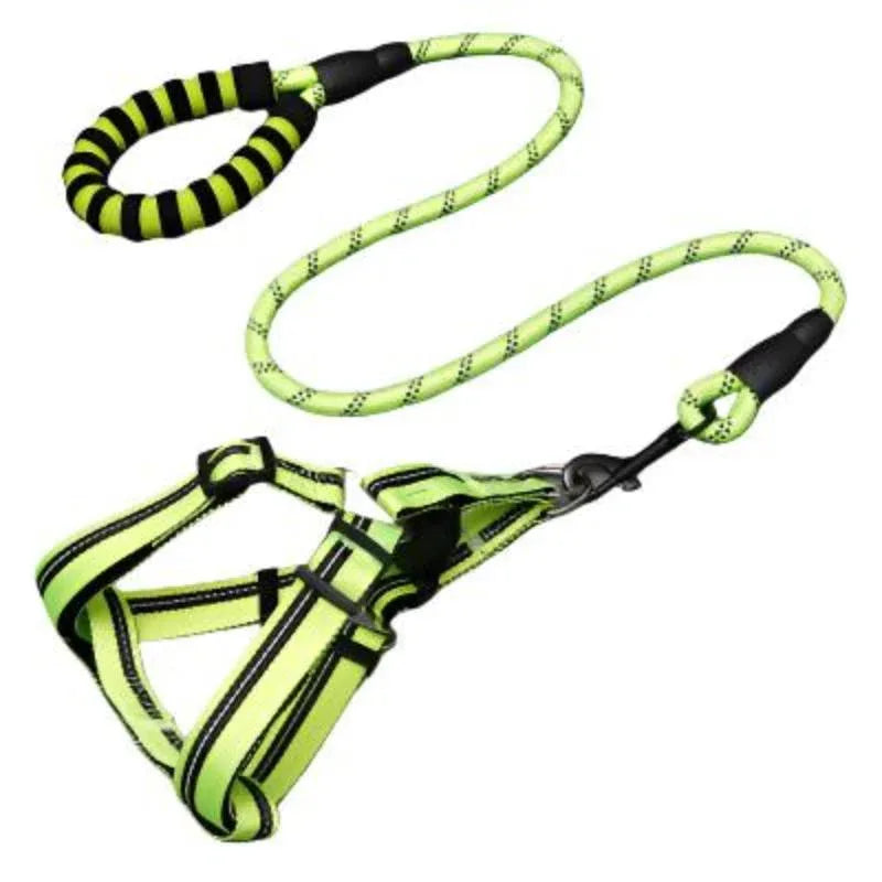 Pet Supplies Dog Leash & Chest Harness