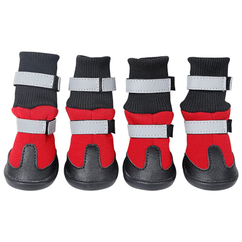 Reflektiva vadderade hundskor för större hundar (4 skor)