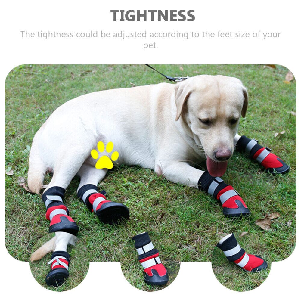Reflektiva vadderade hundskor för större hundar (4 skor)
