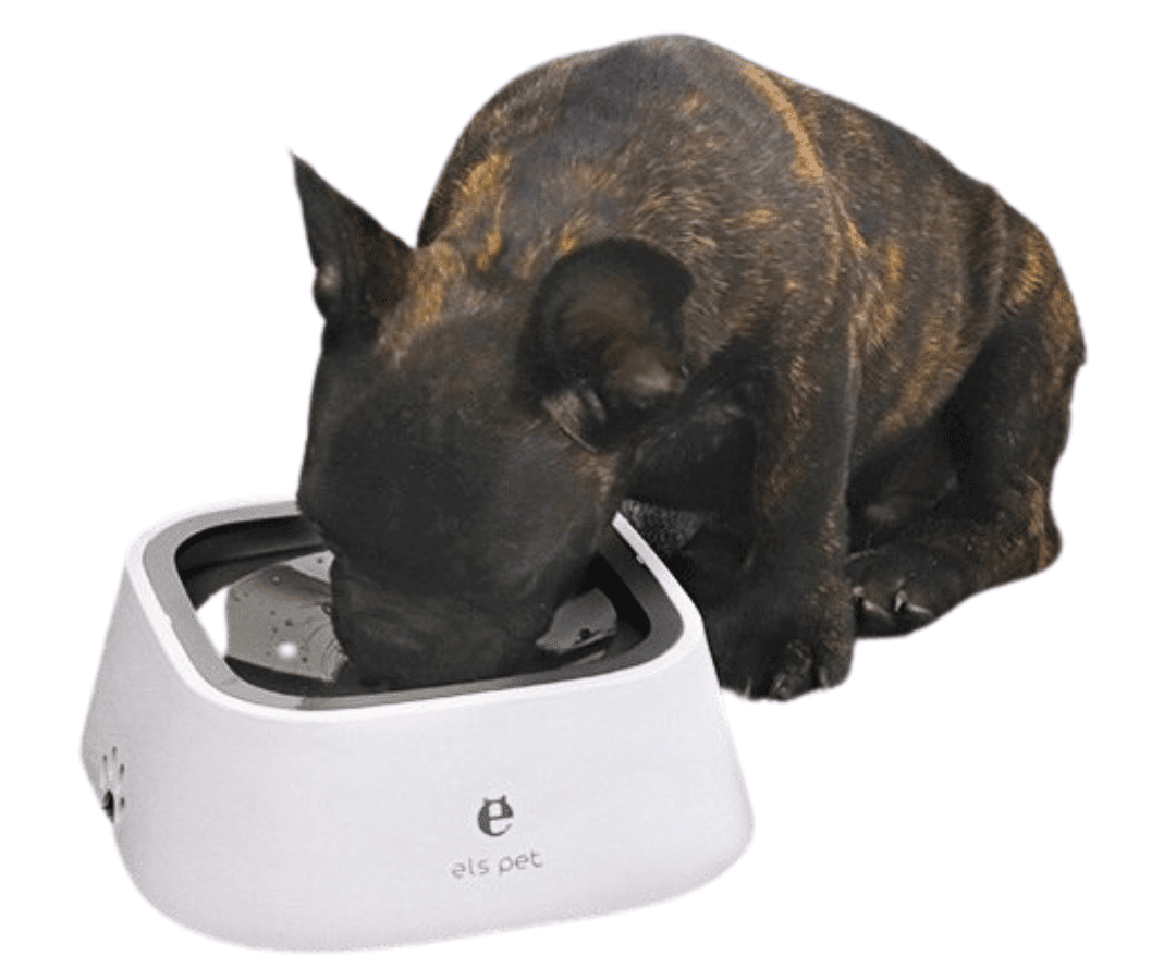 SpillFri™ vattenskål 1.5L